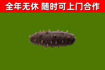 尼玛烟酒回收干海参.jpg